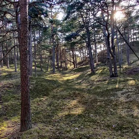 Pokoje Lantställe *