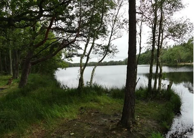 Pokoje Gospodarstwo wiejskie *